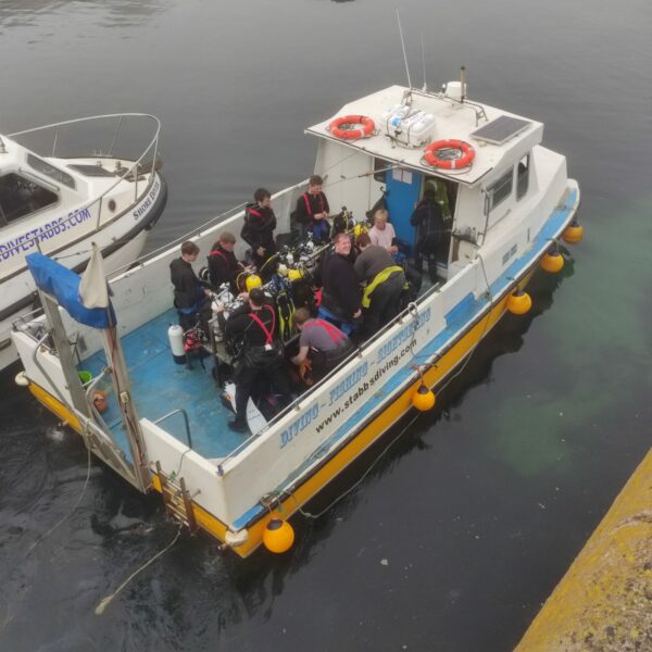 St Abbs Scuba Trip – August 2022